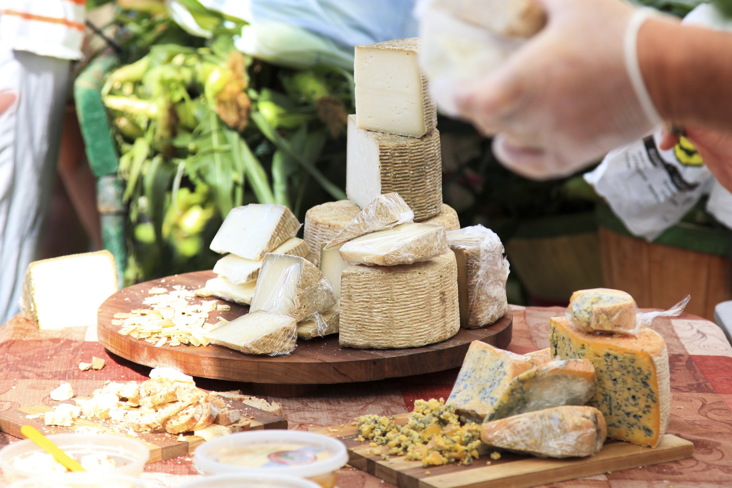 Eine Auswahl an Käsesorten, präsentiert auf einem Holzbrett, verkörpert die Essenz der Erlebnisgastronomie, während eine Person mit Handschuhen fachmännisch ein Stück in der Hand hält.