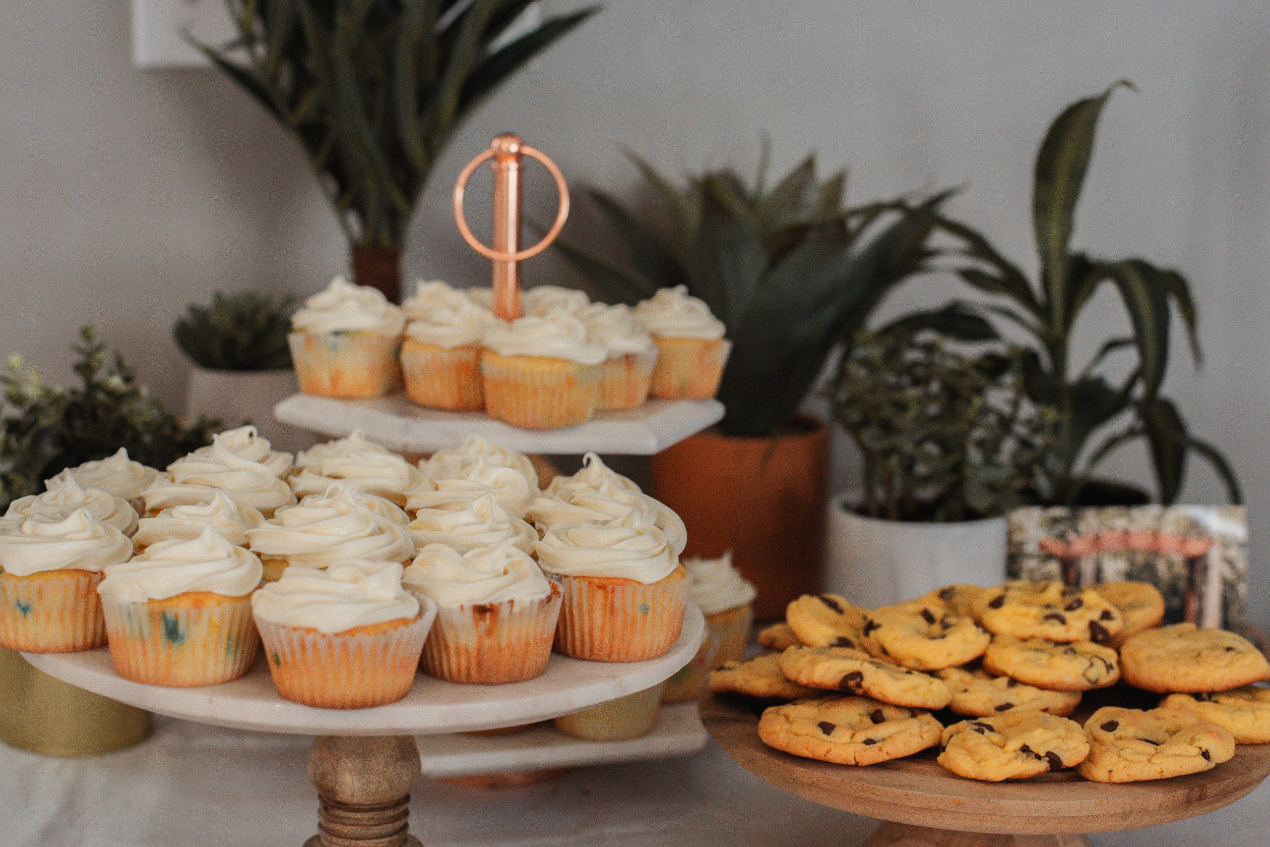 Cupcakes mit weißem Zuckerguss und Cookies stehen im Mittelpunkt der Präsentationsständer und sorgen für einen süßen Genuss bei Ihrem Junggesellenabschied, umgeben von üppigen Topfpflanzen.