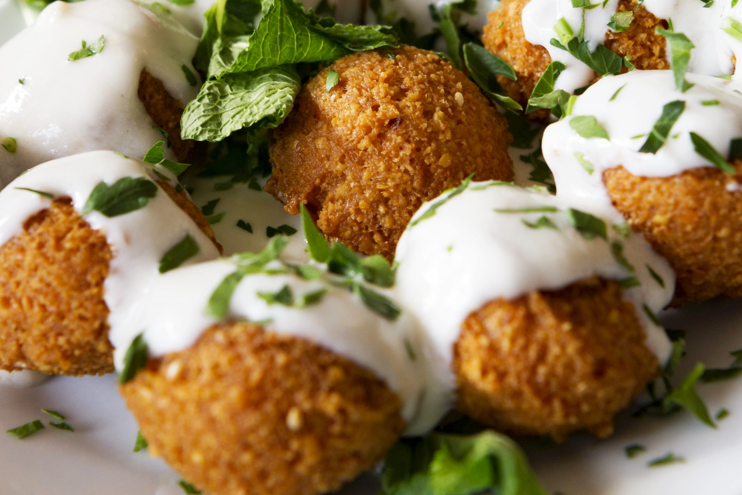 Genießen Sie einen köstlichen Teller mit Falafelbällchen, perfekt für Ihren Betriebsausflug, garniert mit cremiger weißer Soße und frischer Petersilie und Minzblättern.