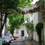 Schmale Straße mit bunten Häusern, geparkten Autos und Bäumen mit Weinreben und Blumen darüber.